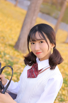 茶杯狐